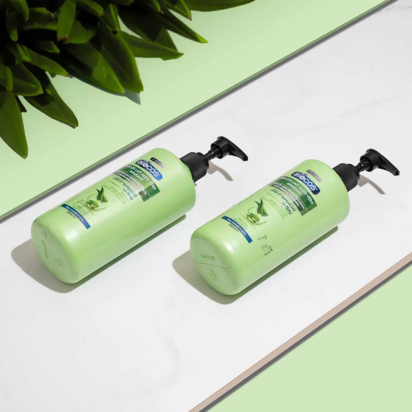 Soothing Aloe Body Lotion